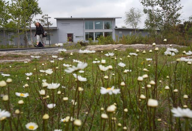 Loftadalens Folkhogskola Hotel Åsa Eksteriør billede